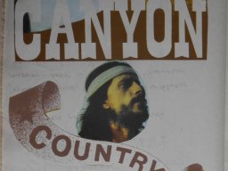 Kronika Domu Kultury w Zbiersku strona - 261